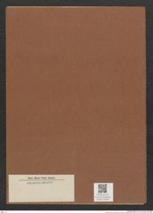 Diatomeae indet. Zeichnungen Sammlung Grunow Mappe 03468 (Herbarium_W_Grunow_drawings_Folder_03468)